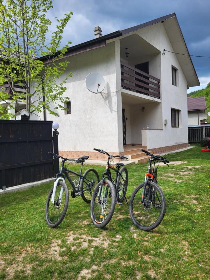 Villa Casa Mi&Ra Lepşa Exterior foto